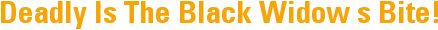 Deadly Is The Black Widow�s Bite!