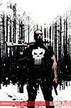 PUNISHER # 45