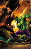 Marvel Adventures Hulk #10 
