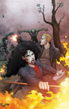 ANITA BLAKE, VAMPIRE HUNTER: GUILTY PLEASURES # 11