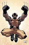 Wolverine #29