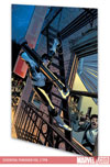 ESSENTIAL PUNISHER VOL. 2