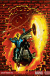 Ghost Rider #15 