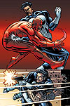 Daredevil Vs. Punisher #5 