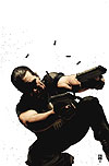 PUNISHER # 27