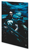 PUNISHER MAX VOL. 6: BARRACUDA