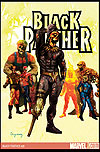 Black Panther #29