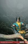 WOLVERINE: FLIES TO A SPIDER # 1