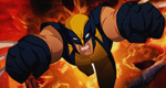 Wolverine Search and Destroy