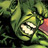  HULK%20ICON