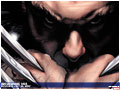 WOLVERINE 55 