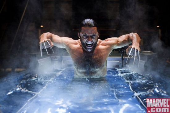Wolverine roars