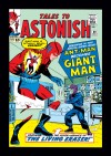 Tales To Astonish #49