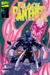 Black Panther #29 