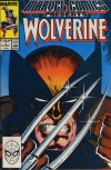 Marvel Comics Presents #2 