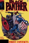Black Panther #30 