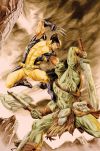 WOLVERINE: ORIGINS #41