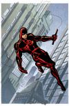 DAREDEVIL  #501