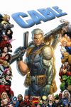 CABLE # 17