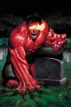 FALL OF THE HULKS GAMMA # 1