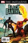Black Panther #28