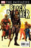 Black Panther #29