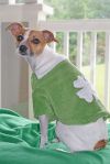 Sindaen as Shamrock, submitted by zaythar
