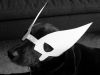 A dog as Wolverine, submitted  by stuartimmon