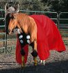 Dante as Thor, submitted by amarygma