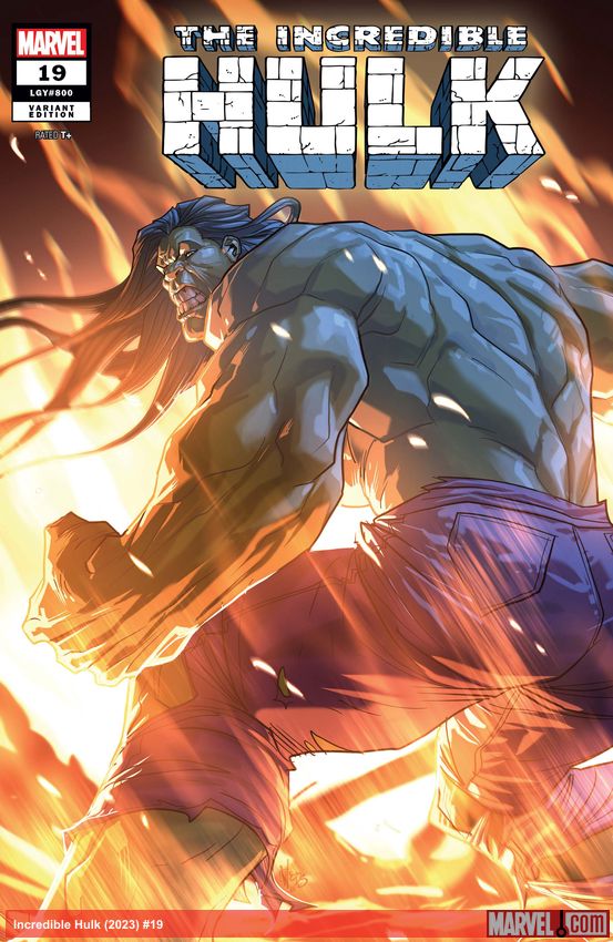 Incredible Hulk (2023) #19 (Variant)