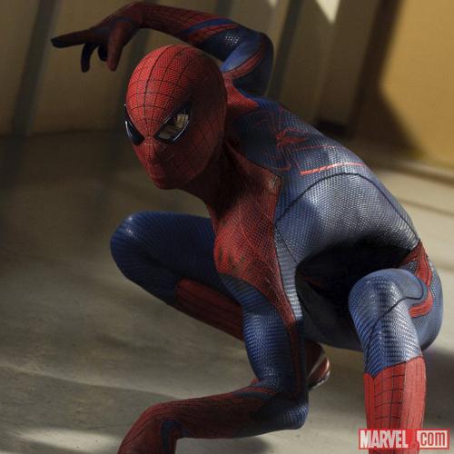 See The Amazing Spider-Man Again