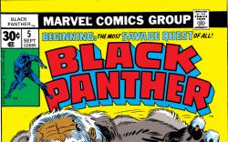 Black Panther (1976) #5 Cover