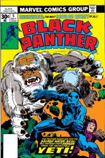 Black Panther (1976) #5