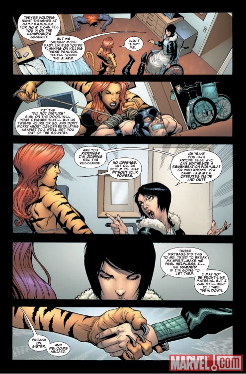 Avengers: The Initiative (2007) #29