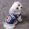 Dixie in a Spider-Man shirt, submitted by Marvel Entertainment