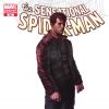 Sensational Spider-Man #41 Djurdjevic Cover