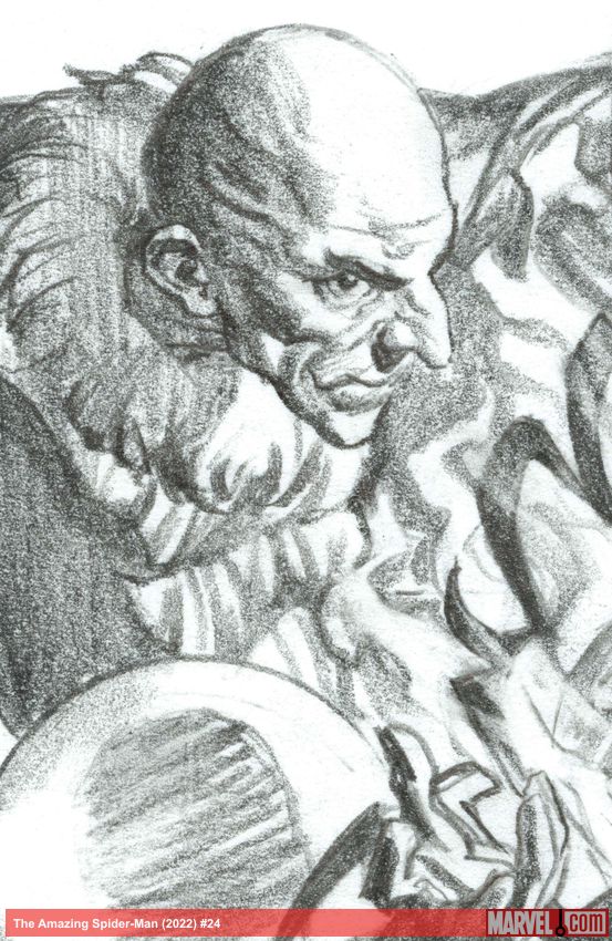 The Amazing Spider-Man (2022) #24 (Variant)