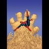 ULTIMATE SIX (2003) #5 COVER