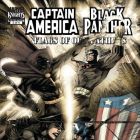 CAPTAIN AMERICA/BLACK PANTHER: FLAGS OF OUR FATHERS #3 cover by Denys Cowan