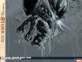 Marvel Knights Spider-Man (2004) #21 Wallpaper
