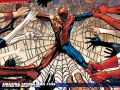 Amazing Spider-Man (1999) #536 Wallpaper