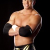 WWE supertstar Alex Riley