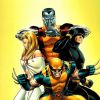 The Astonishing X-Men