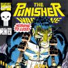 The Punisher: War Zone (1992) #5