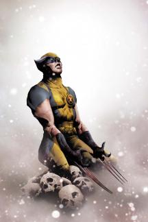 Wolverine (2010) #12