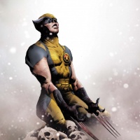 Wolverine #12 cover