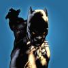 Black Panther