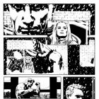 Captain America: Who Will Wield  the Shield? (2009) #1