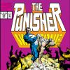 THE PUNISHER: WAR ZONE #29