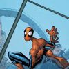 SPECTACULAR SPIDER-MAN (2003) #8 COVER